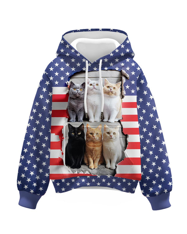 Patriotic Cat Hoodie