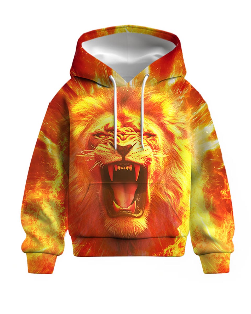 lion hoodie