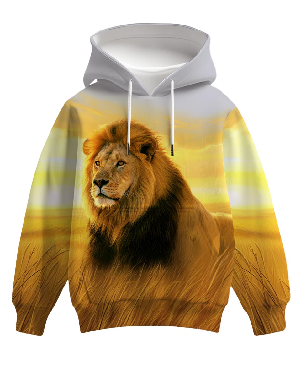 lion hoodie for boys