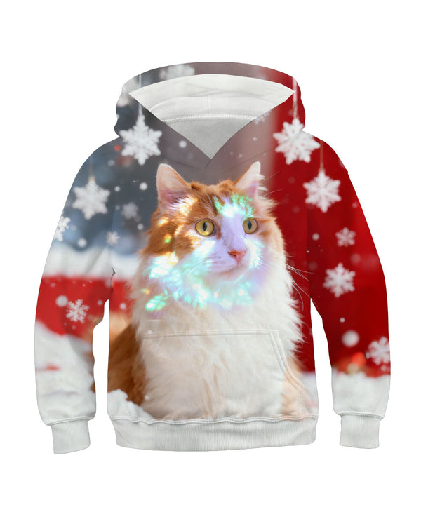 Christmas cat hoodie with American flag and snowflakes background